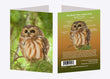 5" x 7" Cards - NSWO 9628 - Northern Saw-whet Owl 6-pk