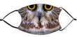 Facemask - Northern Saw whet Owl