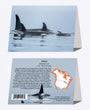 5" x 7" Cards - ORCA 7112 - Orca 6-pk