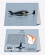 5" x 7" Cards - ORCA 7303 - Orca 6-pk