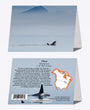 5" x 7" Cards  -  ORCA 7810  - Orca 6-pk