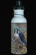 600ml Water Bottle - PEFA 001  - Peregrine Falcon