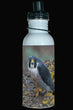 600ml Water Bottle - PEFA 001 - Peregrine Falcon