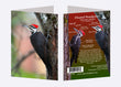 5" x 7" Cards - PIWO 8248 _ Pileated Woodpecker 6-pk