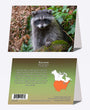 5" x 7" Cards - RACC 9634 - Raccoon 6-pk