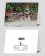 Christmas Card - Raccoon Family 6-pk