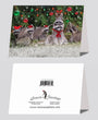 Christmas Card - Raccoon Family    6-pk