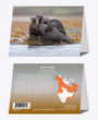 5" x 7" Cards - RIOT 9860 - River Otter 6-pk