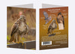 5" x 7" Cards - RTH 5934 - Red-tailed Hawk 6-pk