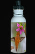 600ml Water Bottle - RUHU 001 - Rufous Hummingbird
