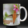 11oz Mug - RUHU 002 - Rufous Hummingbird