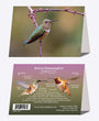 5" x 7" Cards - RUHU 1247 - Rufous Hummingbird 6-pk