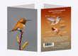 5" x 7" Cards - RUHU 1715 - Rufous Hummingbird 6-pk