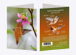 5" x 7" Cards  -  RUHU 2755  - Rufous Hummingbird 6-pk