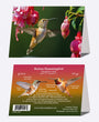 5" x 7" Cards - RUHU 4183 - Rufous Hummingbird 6-pk