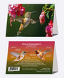 5" x 7" Cards  -  RUHU 4183  - Rufous Hummingbird 6-pk