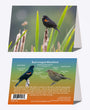 5" x 7" Cards - RWBB 4716 - Red-winged Blackbird 6-pk