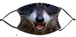Facemask - Raccoon Smile