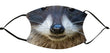 Facemask - Raccoon 002