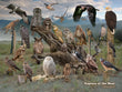 18" x 24" Laminated Poster - Raptors of the West