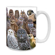 15oz Mug - RWBG 001 - Raptors of the West