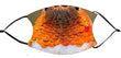 Facemask - Rufous Hummingbird