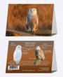 5" x 7" Cards  -  SNOW 5378 -  Snowy Owl 6-pk