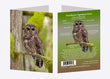 5" x 7" Cards - SPOW 6253 Northern Spotted Owl 6-pk