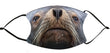 Facemask - Sea Lion