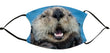 Facemask - Sea Otter 001