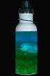 600ml Water Bottle - Trout 002