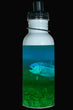 600ml Water Bottle - Trout 002