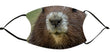 Facemask - Vancouver Island Marmot