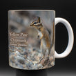 11oz Mug - YPCH 001 - Yellow Pine Chipmunk